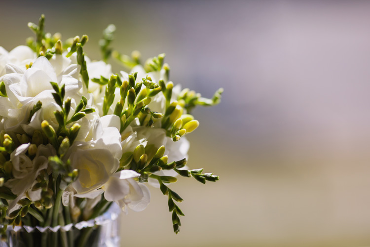 weddingpaths.com