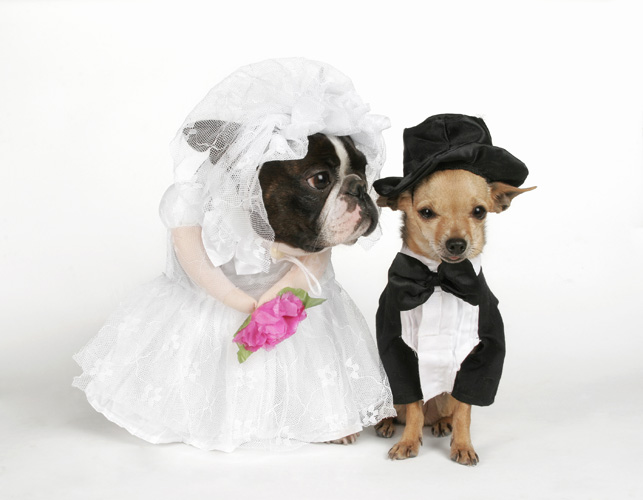 weddingpaths.com