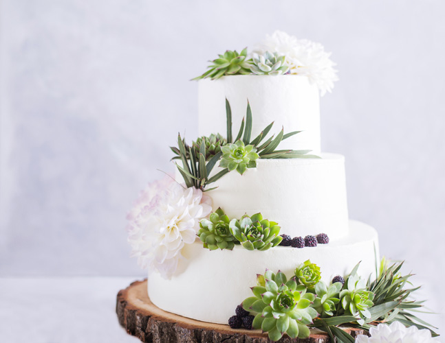weddingpaths.com